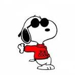 Imagen de Snoopy con gafas de sol puestas